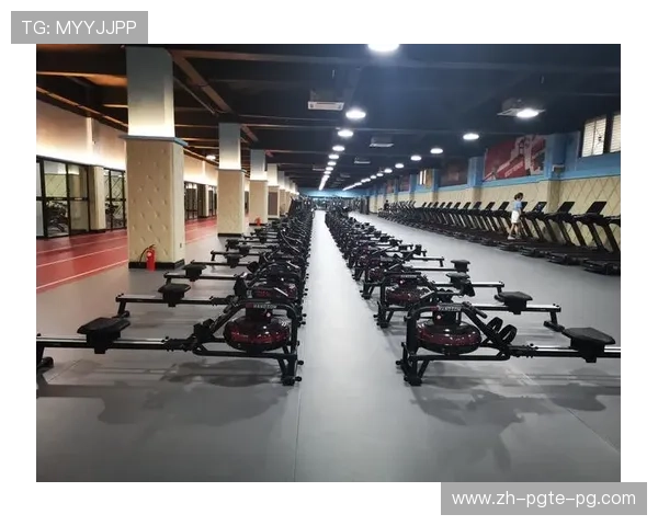 室内健身器材品牌排行榜与性能分析